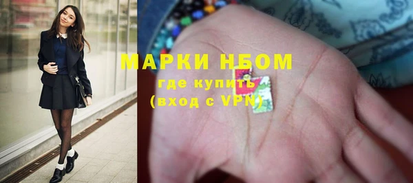 дживик Баксан