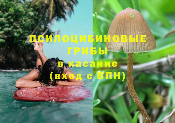 дживик Баксан