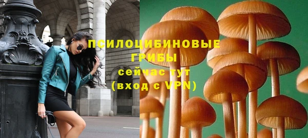 дживик Баксан
