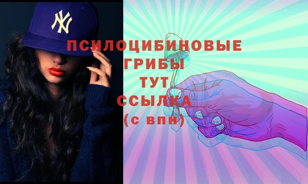 ГАЛЛЮЦИНОГЕННЫЕ ГРИБЫ Балахна