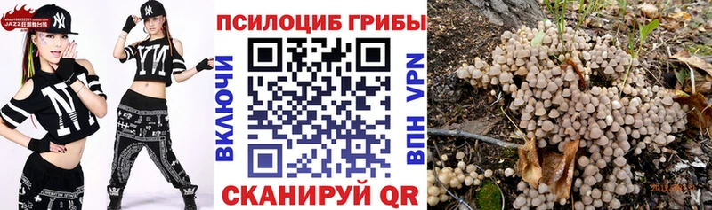 Галлюциногенные грибы Cubensis  Богородск 